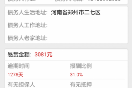 山东讨债热线电话：专业高效的债务解决通道